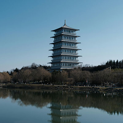 Xian’s Tang Dynasty Dinner: Where Every Moment is Majestic