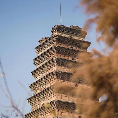 Xian’s Plant-Based Food Revolution